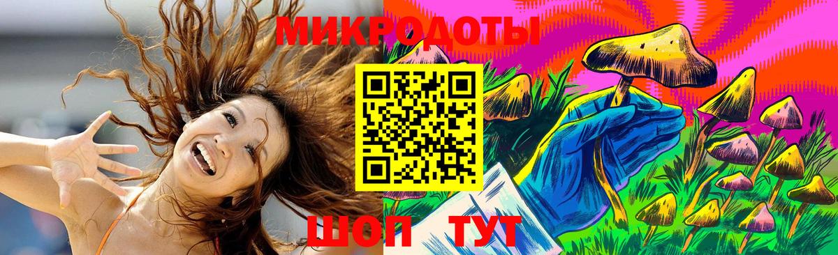 Галлюциногенные грибы MAGIC MUSHROOMS  Псилоцибиновые грибы GOLDEN TEACHER  Вход с VPN  хочу наркоту  Чистополь 